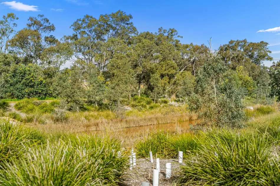 Water and native grasses along the creek beside Sommerfields Estate