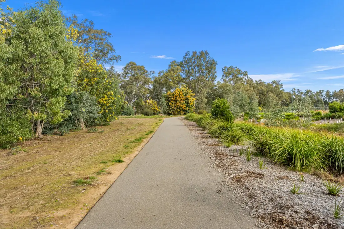The sealed walking trail beside Sommerfields Estate winding past flowering wattle and native plantings