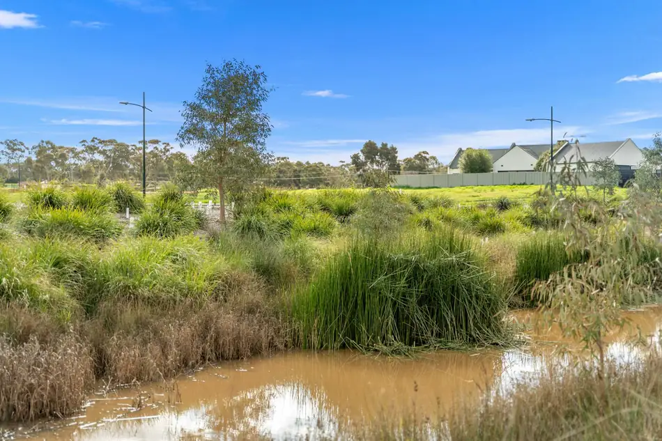 Landscaped wetland basin at Sommerfields Estate with native grasses and water